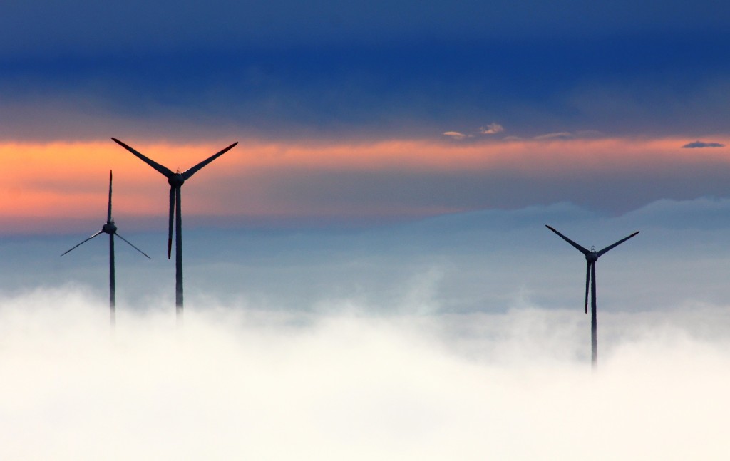 wind-energy-subsidy-cut